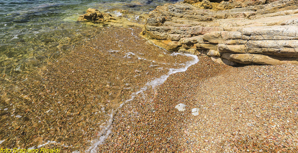 Spiagge Isola d'Elba Spiaggia Ottonella piccola insenatura tra calcari