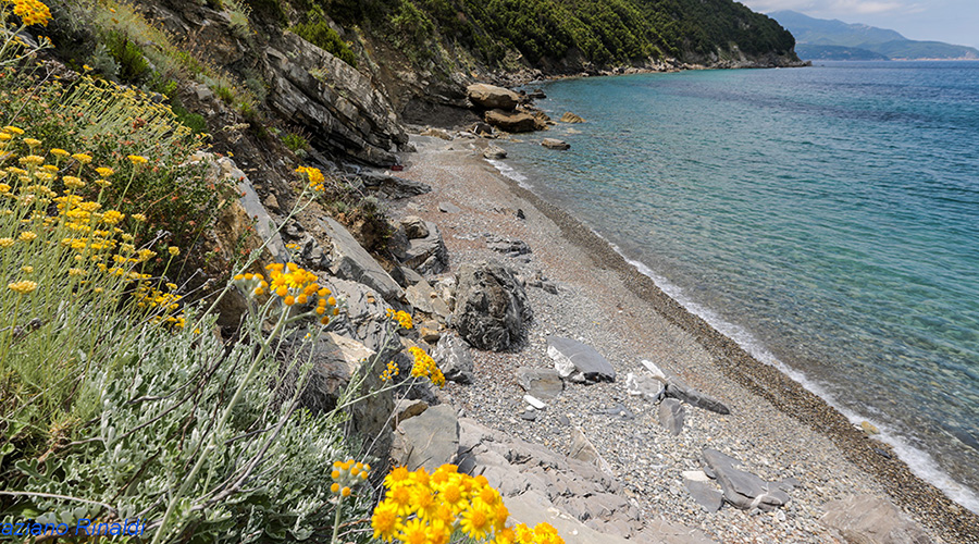 spiagge isola d'Elba - Viticcio